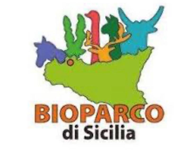 A Casa Di Giuseppe 2 Bed & Breakfast Carini Luaran gambar