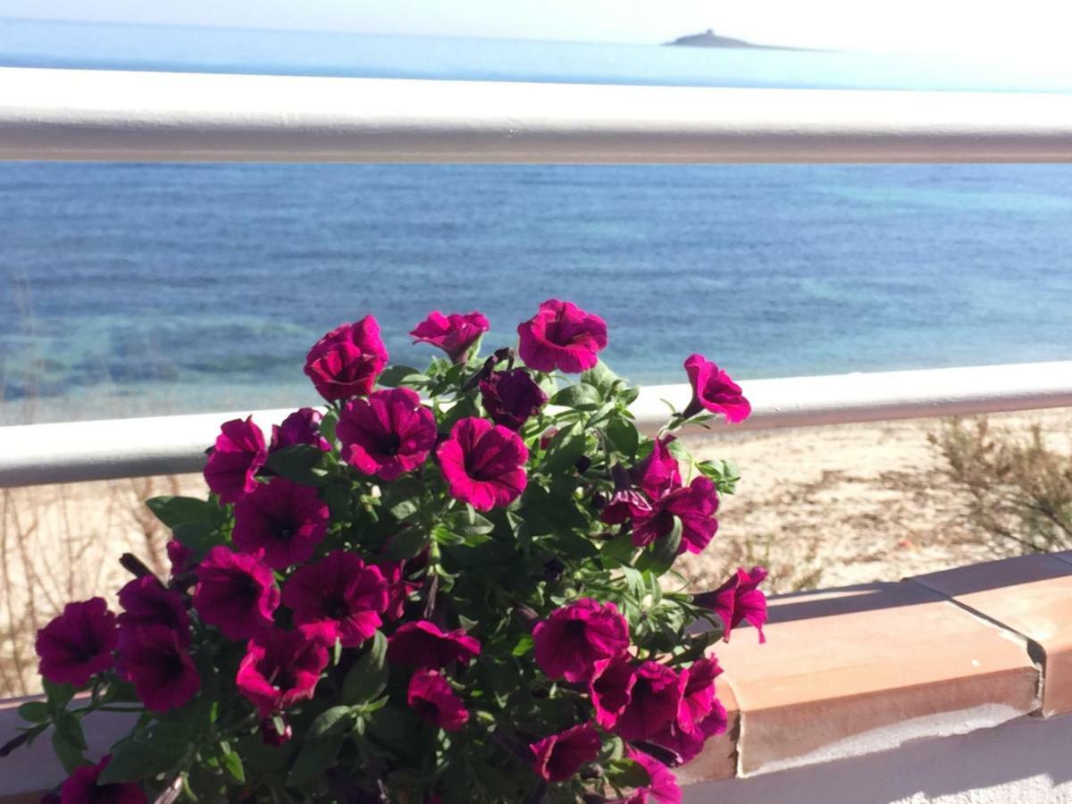 A Casa Di Giuseppe 2 Bed & Breakfast Carini Luaran gambar